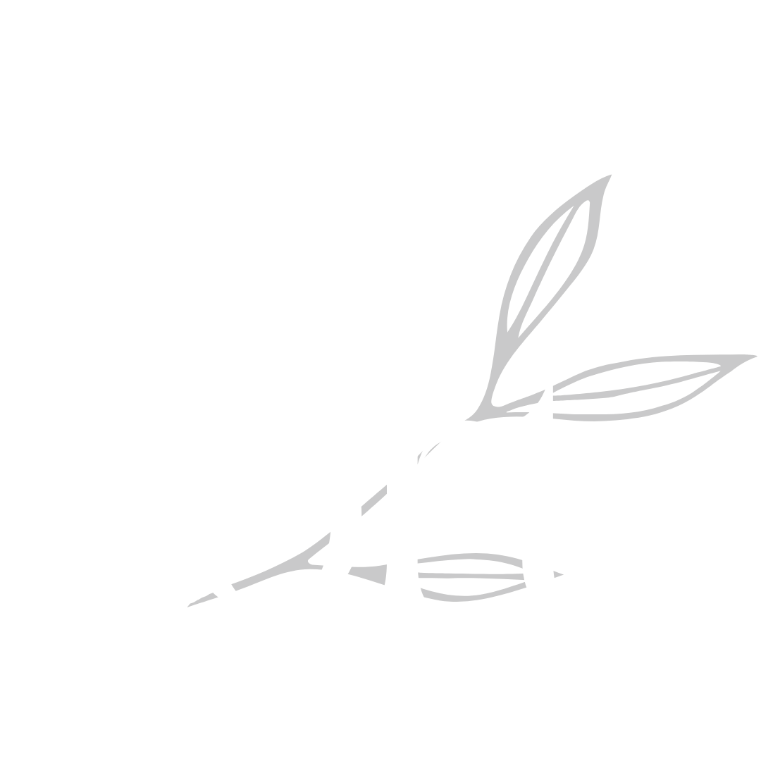 Marca aliada 10